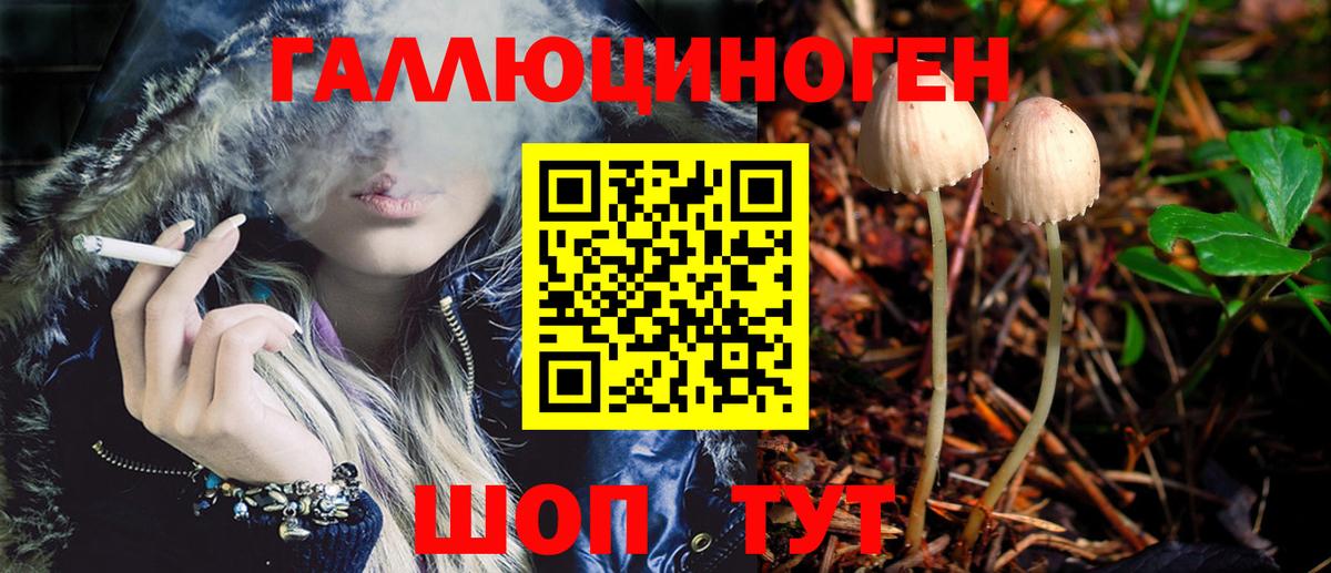 Псилоцибиновые грибы Cubensis  Вход с VPN  Кингисепп 